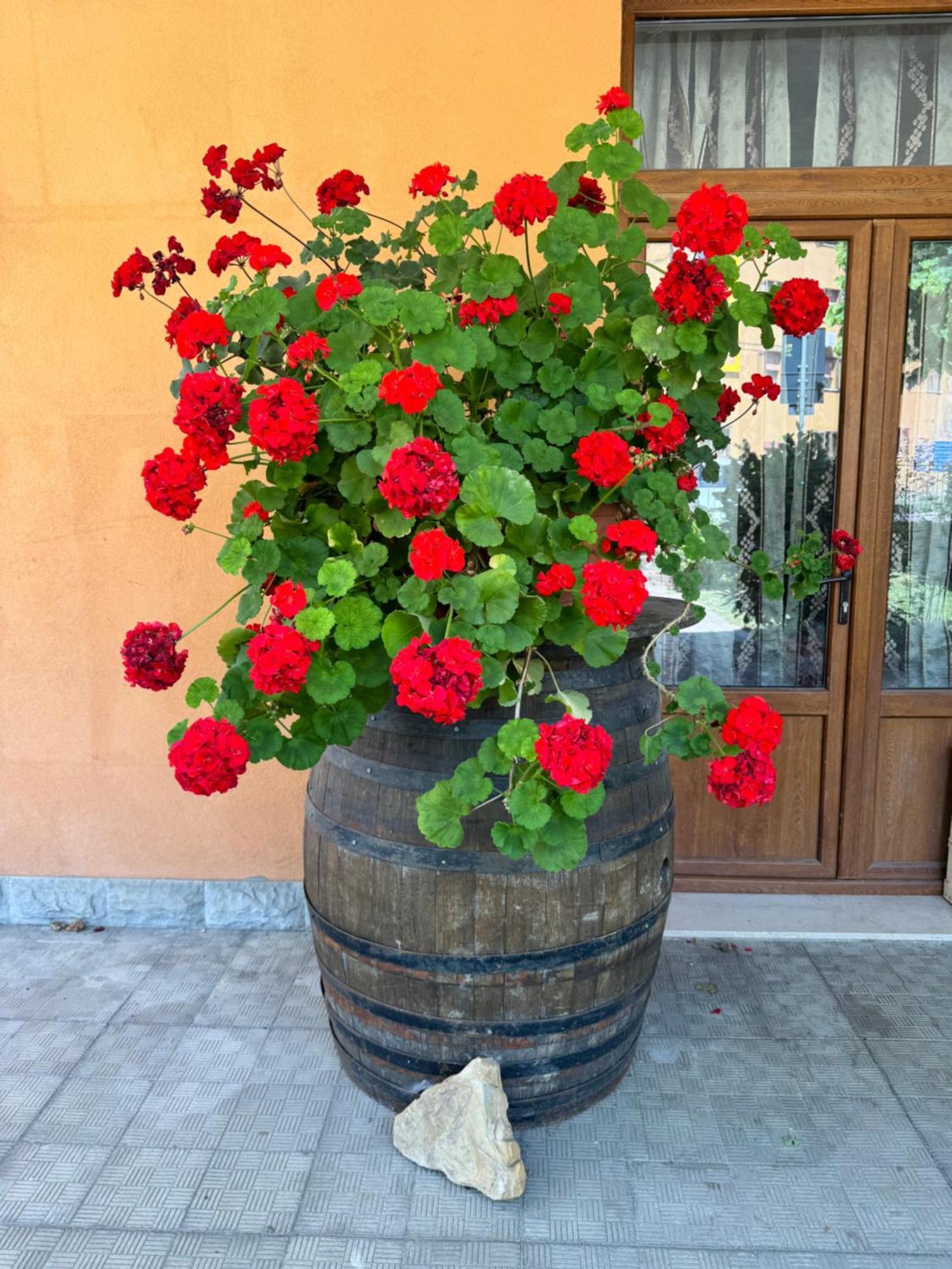Madonna di Fornelli B&B Romani מראה חיצוני תמונה